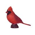 Mojo Red Cardinal in einer Box
